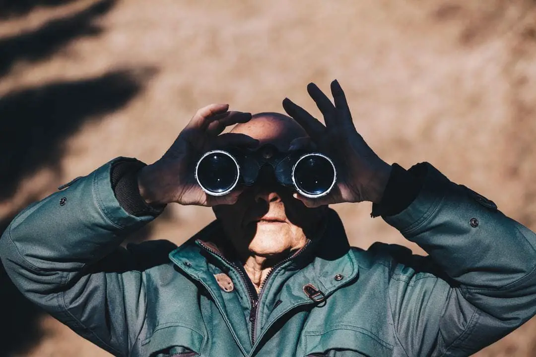 The 9 Best Binoculars for Bird Watching (2020) - Bird Watching HQ