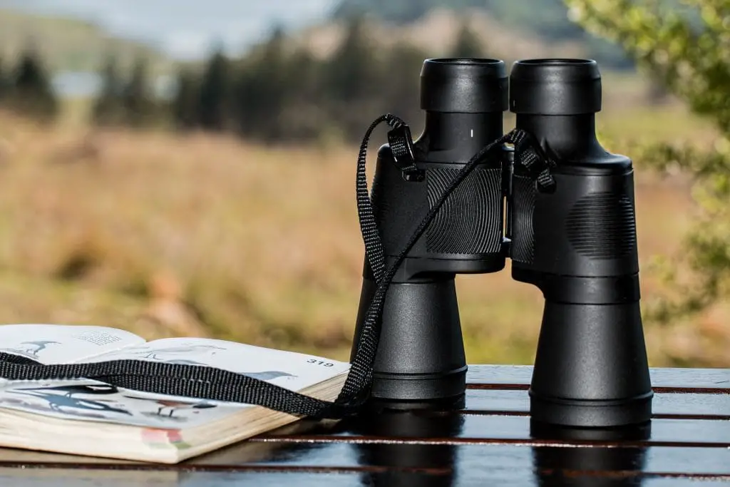 binoculars close up - featured image