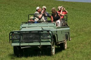 group of people on a safari trip