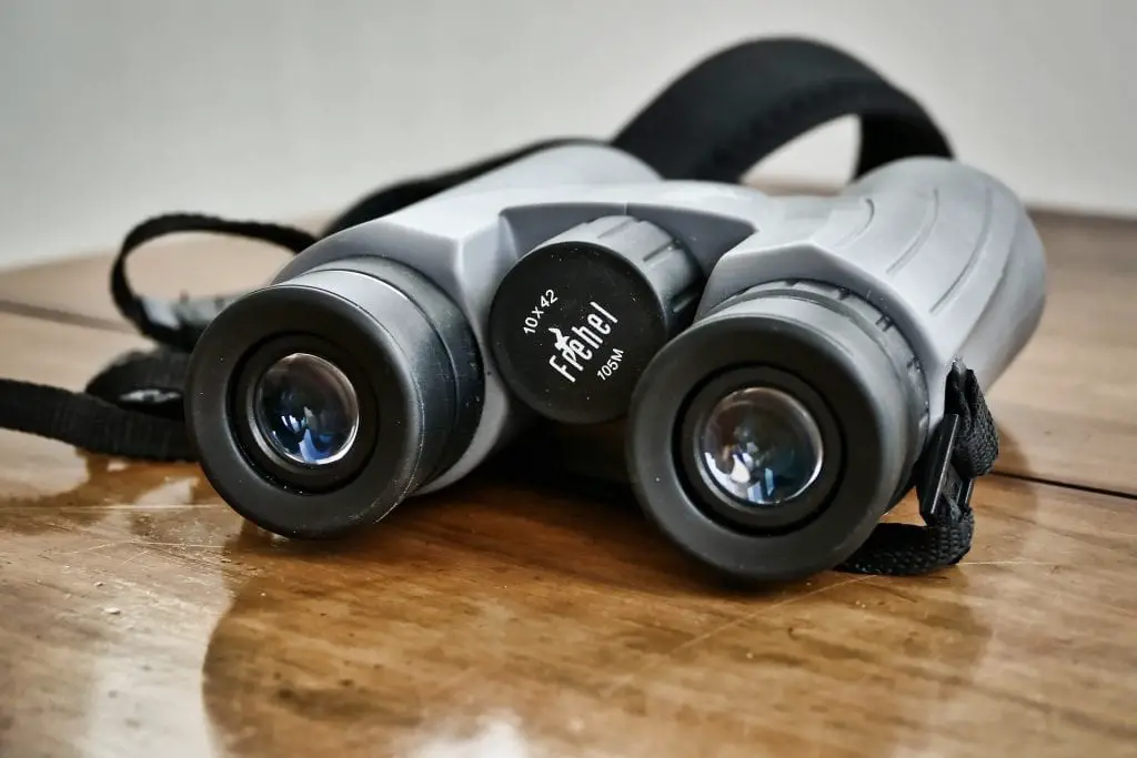 10x42 binoculars on wooden table