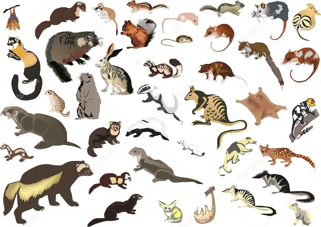 Other Birds, Bird Eggs, or Small Mammals